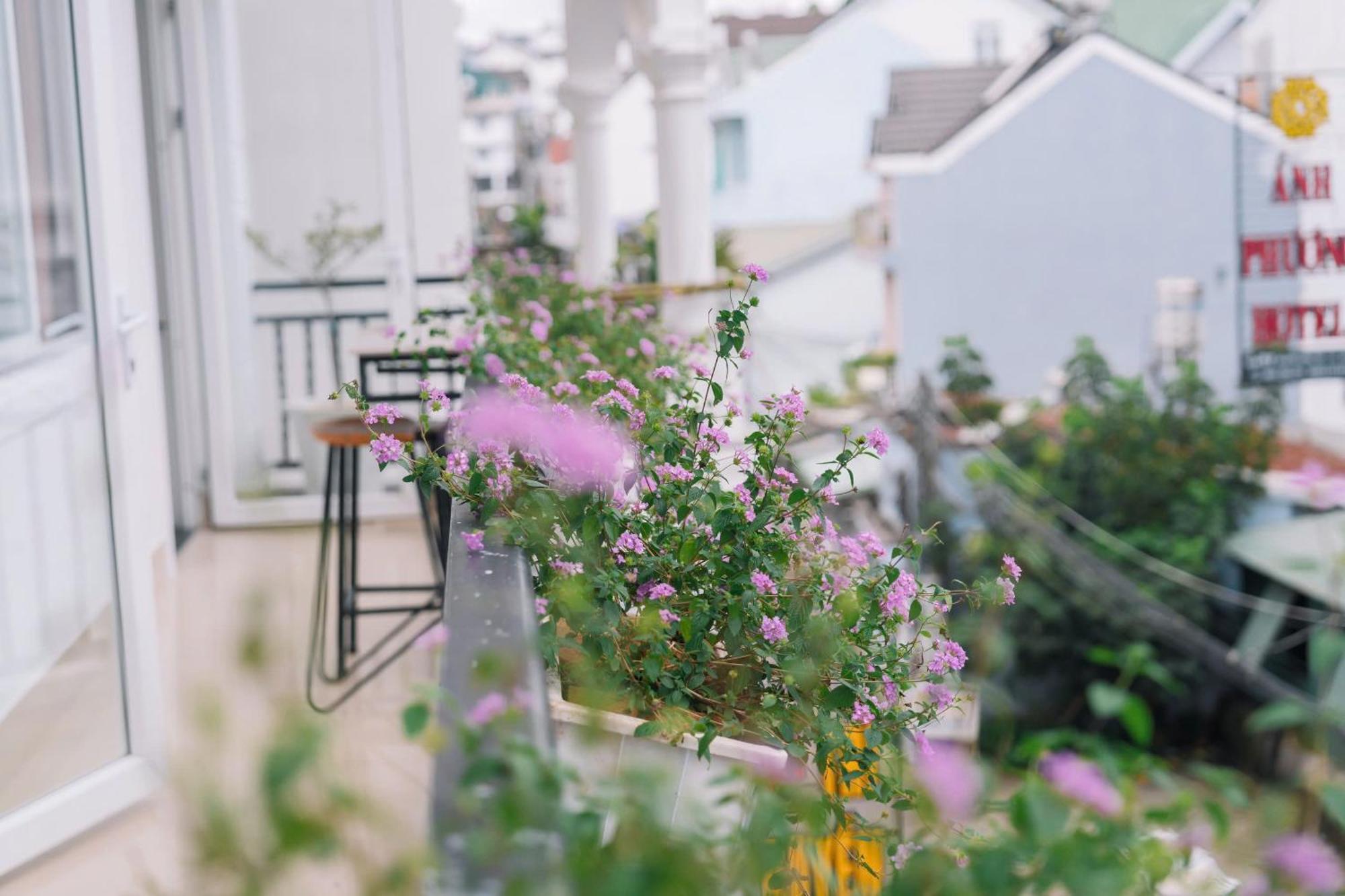 Cherry House Далат Экстерьер фото